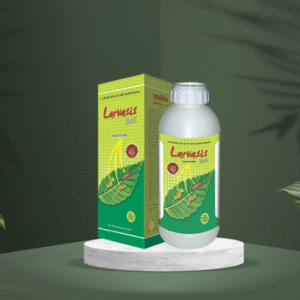 larvasis gold
