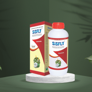 sisfly