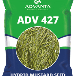 adv 427