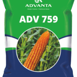 adv 759