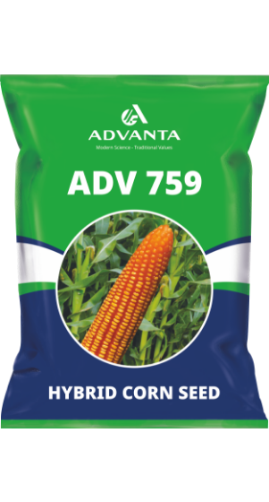 adv 759