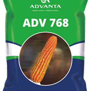 adv 768