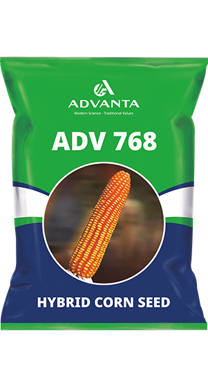 adv 768