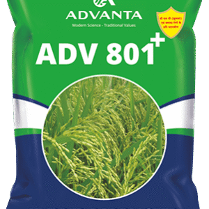 adv 801 plus