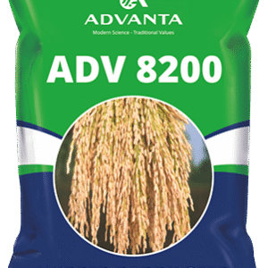 adv 8200