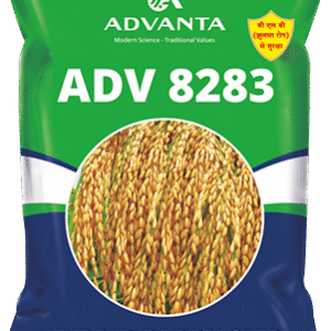 adv 8283