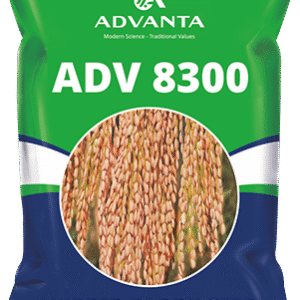 adv 8300