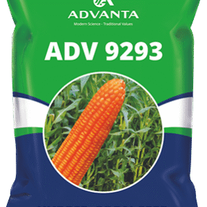 adv 9293