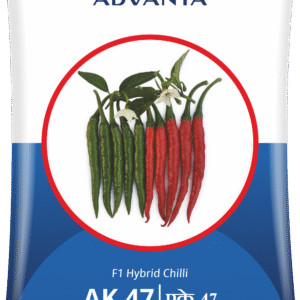 ak 47
