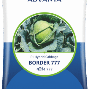 border 777