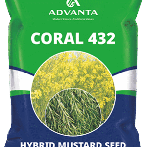 coral 432