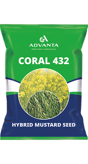 coral 432