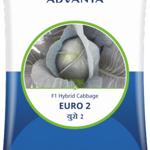 euro 2