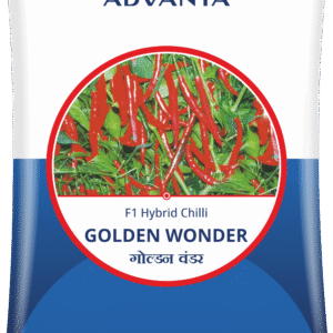golden wonder