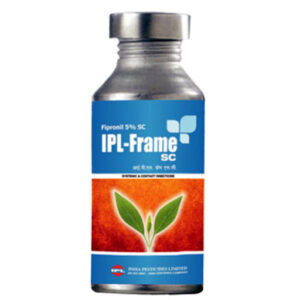 ipl frame sc