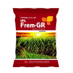 ipl frem gr