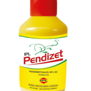 ipl pendizet