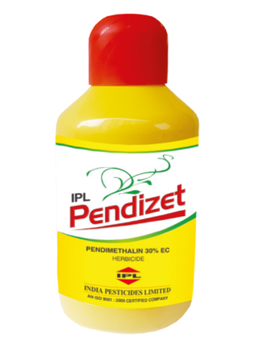 ipl pendizet