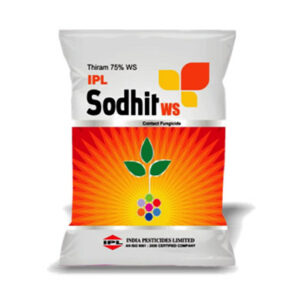 ipl sodhit ws