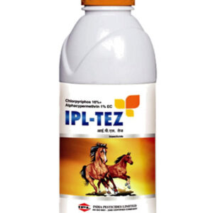 ipl tez