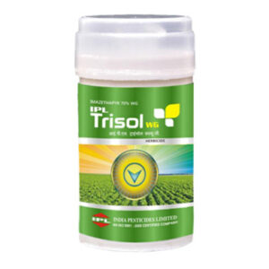 ipl trisol wg