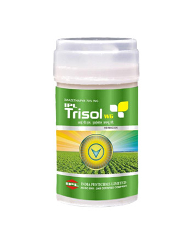 ipl trisol wg