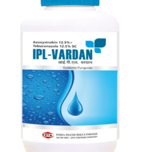 ipl vardan