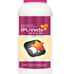 ipl vecto