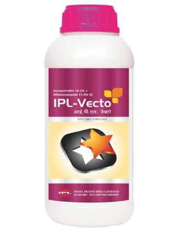 ipl vecto