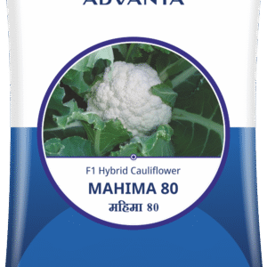 mahima 80