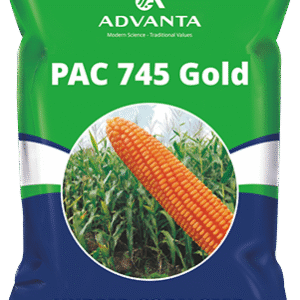 pac 745 gold
