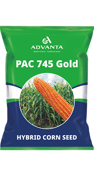 pac 745 gold