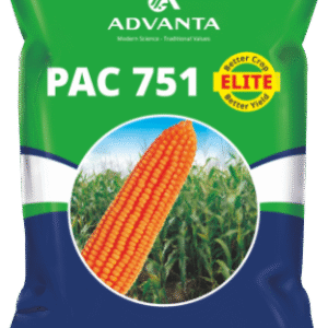 pac 751 elite