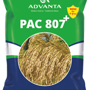 pac 807 plus