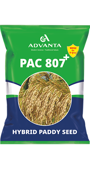 pac 807 plus pac 807 plus