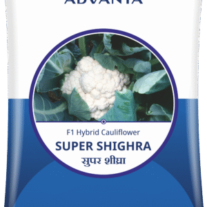 super shighra
