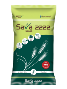 sava kanak 2222