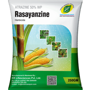 rasayanzine