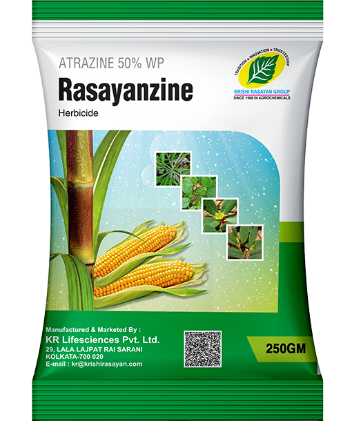 rasayanzine