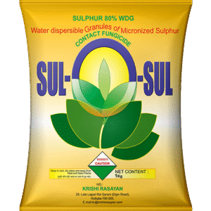 sul o sul