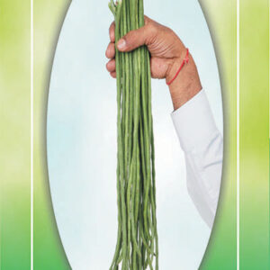 barbatti (cowpea) hari varsha