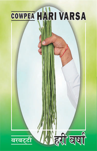 barbatti (cowpea) hari varsha