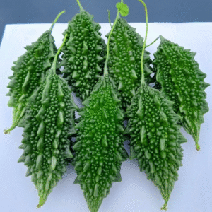 bittergourd f1 hybrid sk 1903