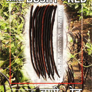 cowpea bushy red®
