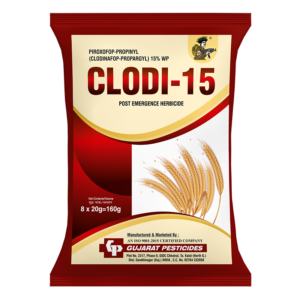 clodi 15