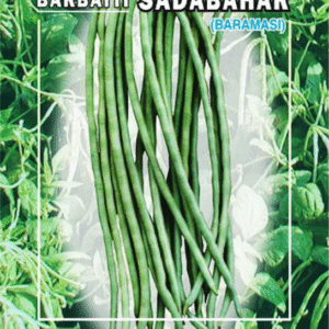 cowpea sadabahar
