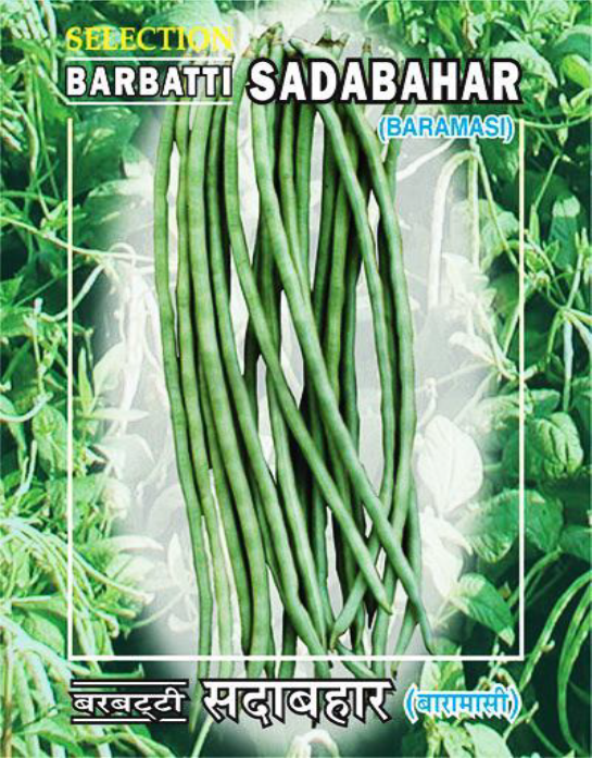 cowpea sadabahar