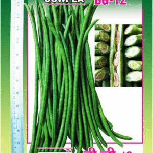 cowpea bg 12