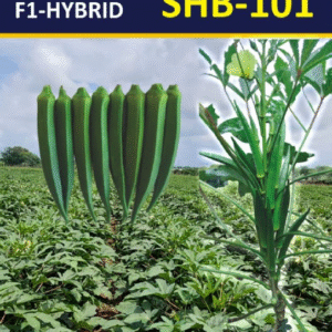 f1 hybrid shb 101