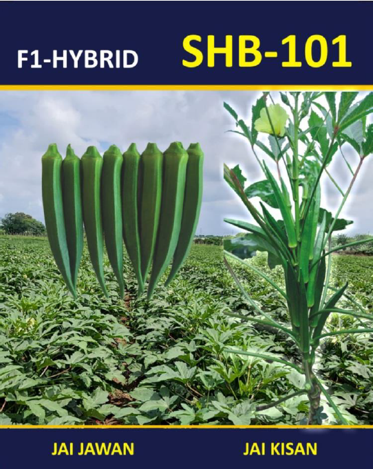 f1 hybrid shb 101